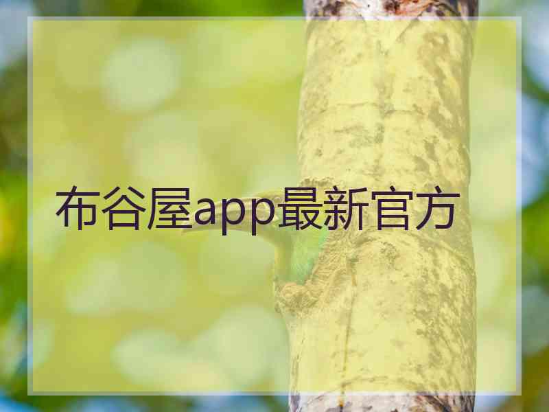 布谷屋app最新官方