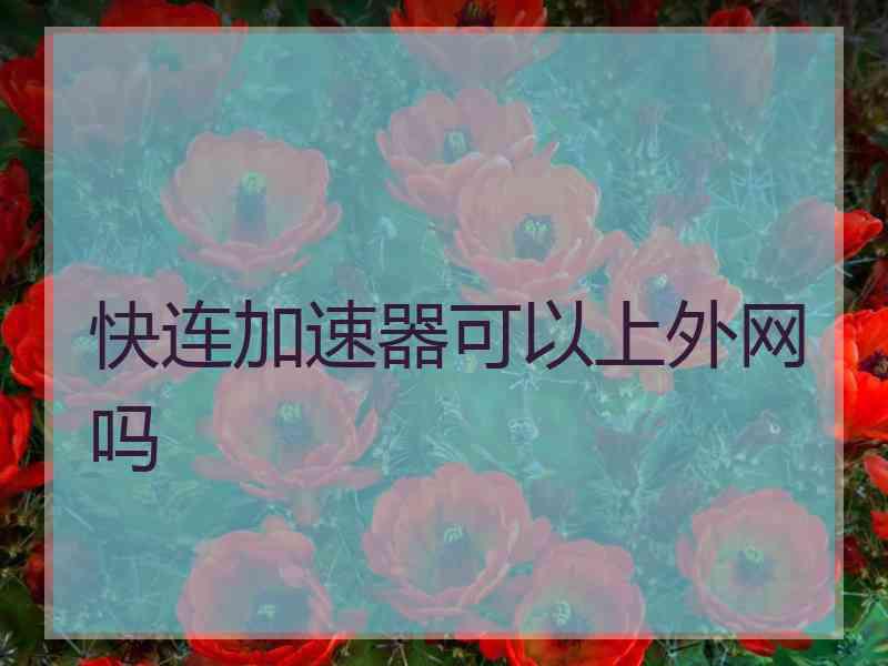 快连加速器可以上外网吗