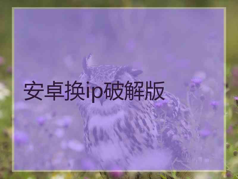 安卓换ip破解版