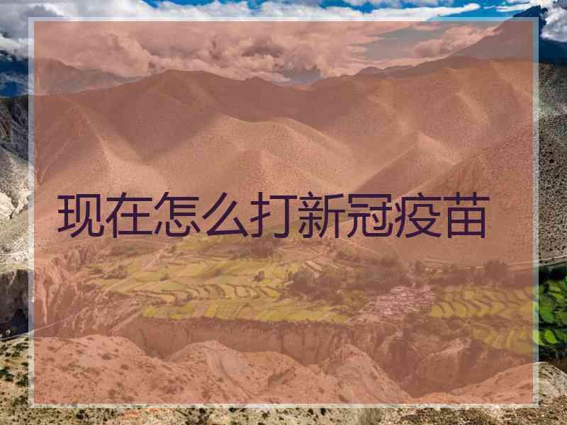 现在怎么打新冠疫苗