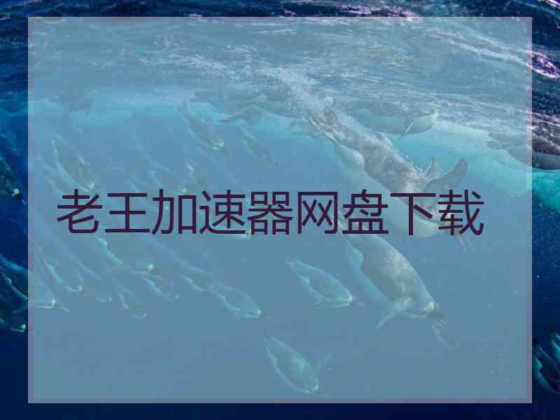 老王加速器网盘下载