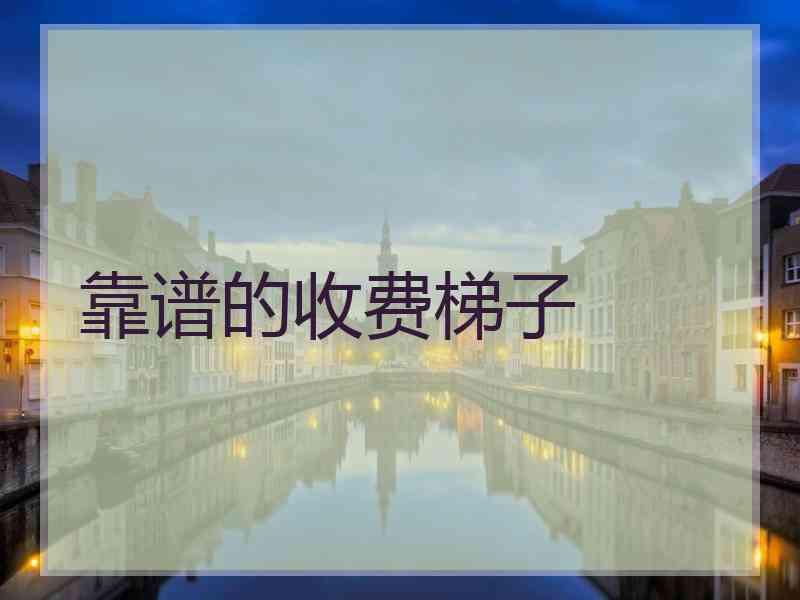 靠谱的收费梯子