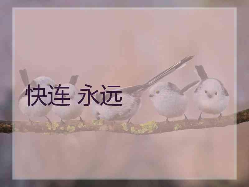 快连 永远