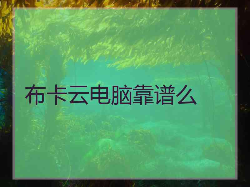 布卡云电脑靠谱么