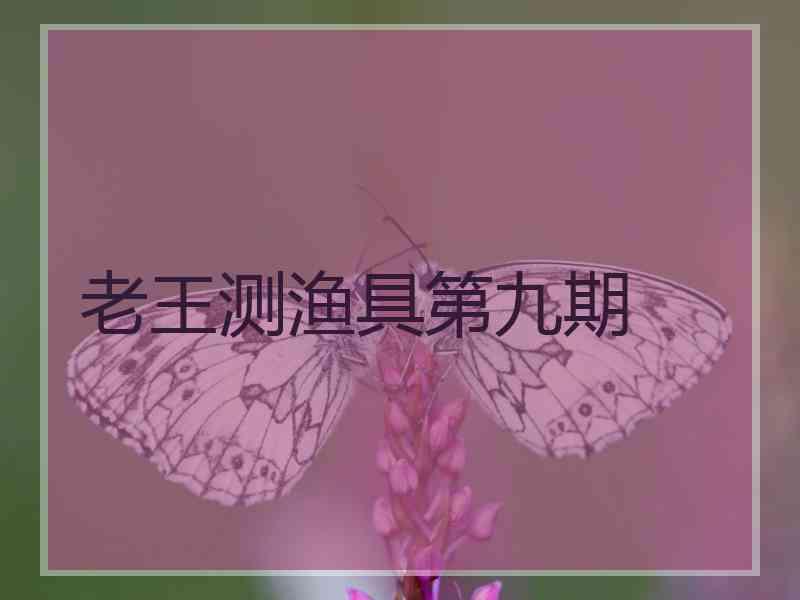 老王测渔具第九期