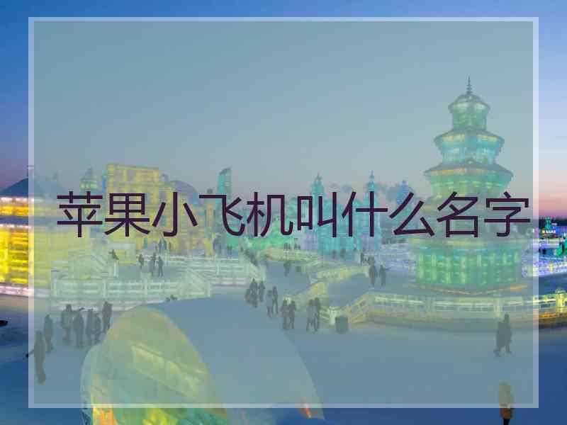 苹果小飞机叫什么名字