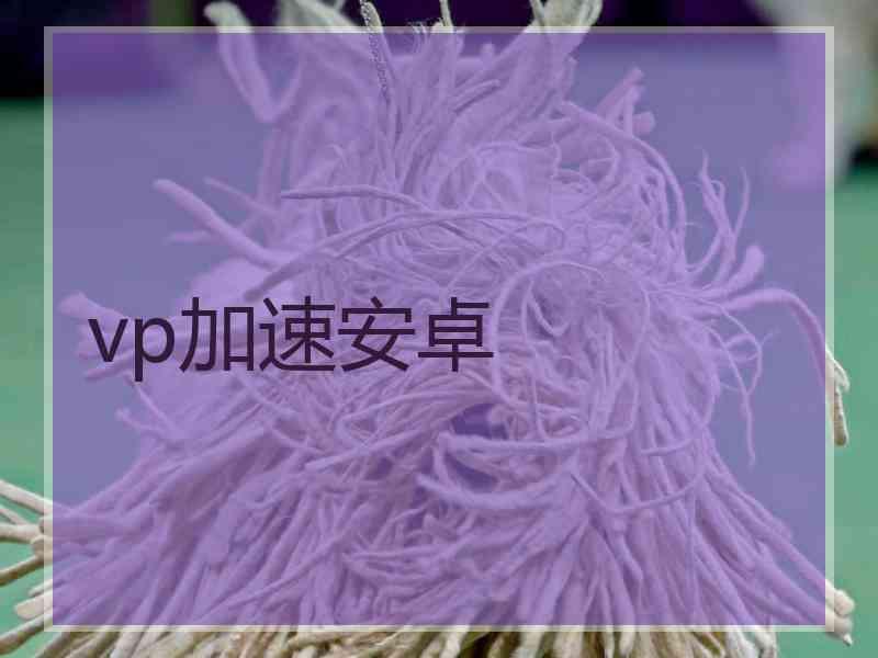 vp加速安卓