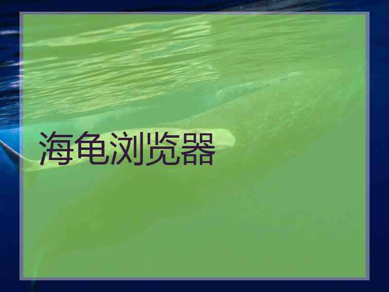 海龟浏览器
