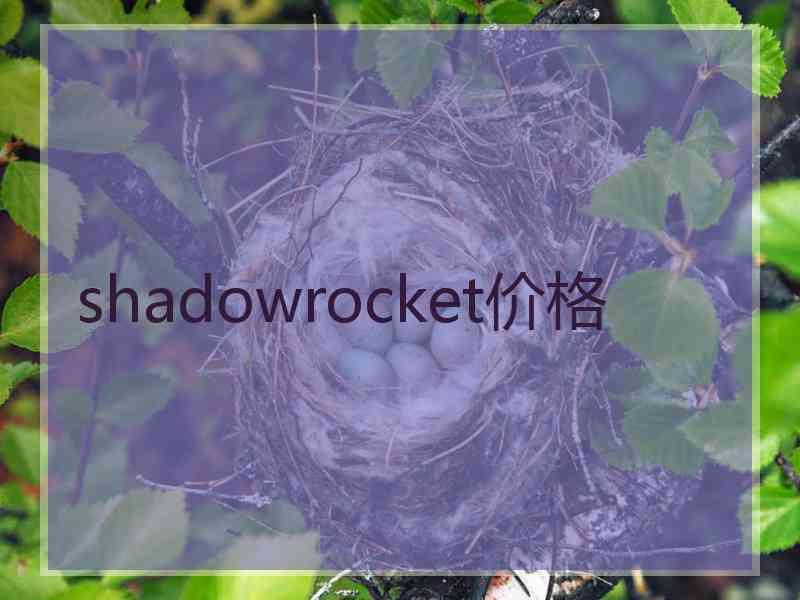 shadowrocket价格