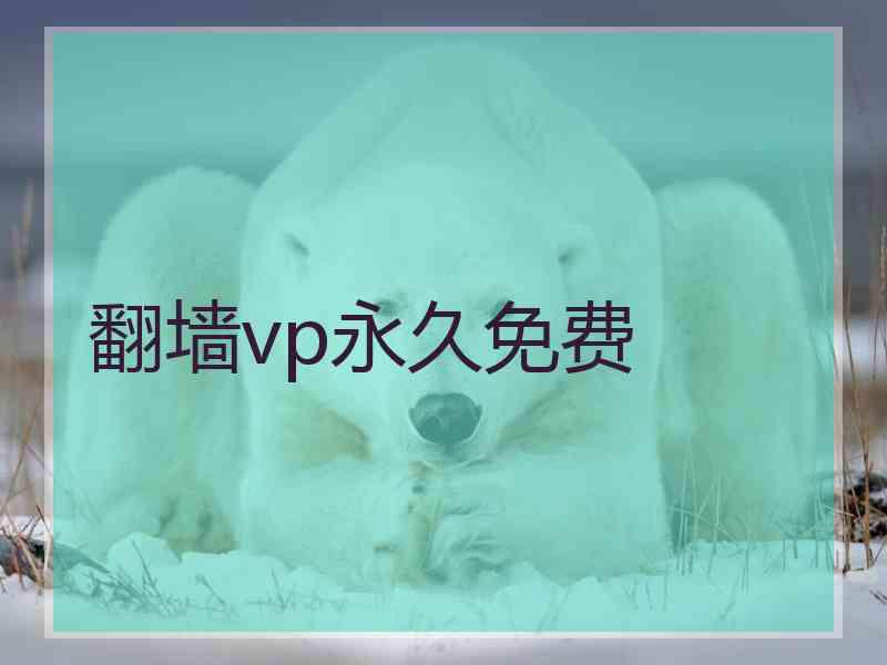 翻墙vp永久免费