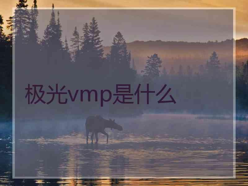 极光vmp是什么
