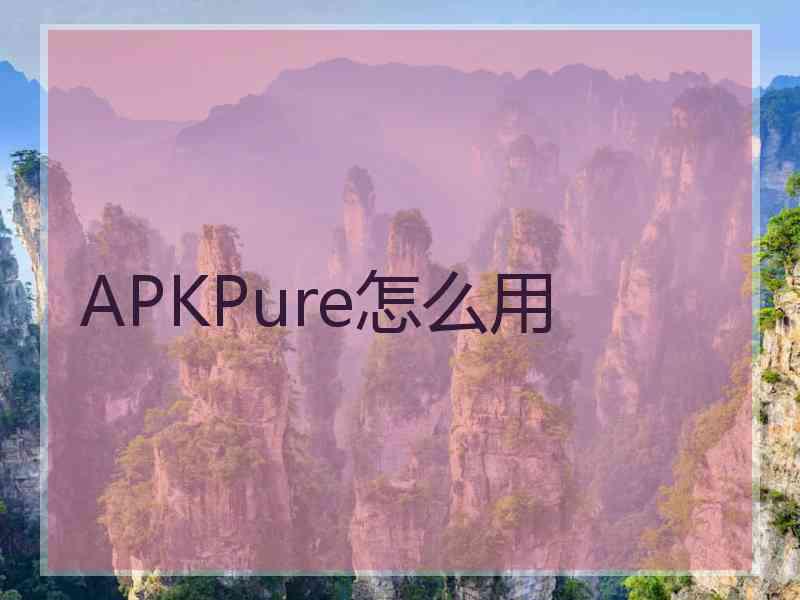 APKPure怎么用