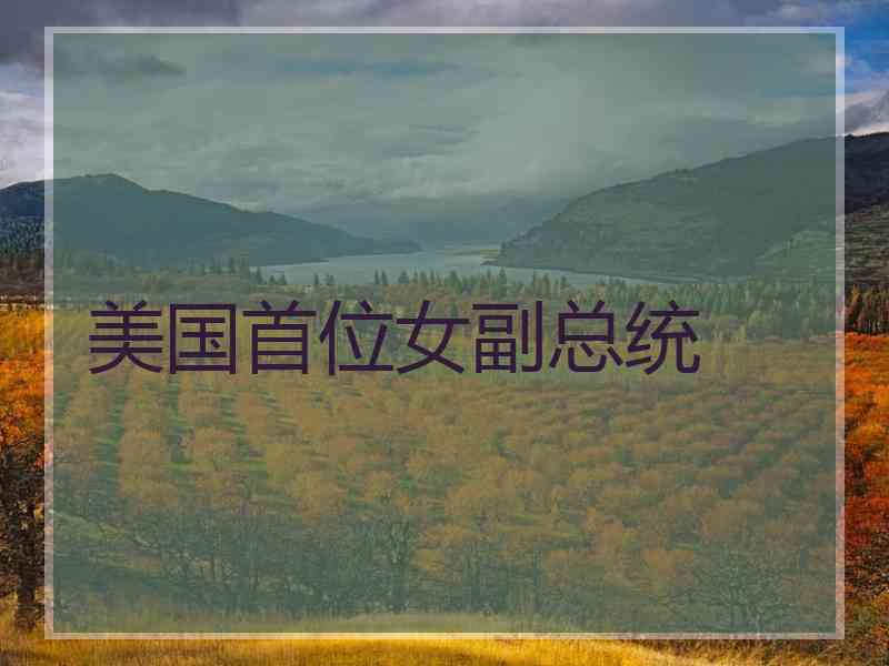 美国首位女副总统