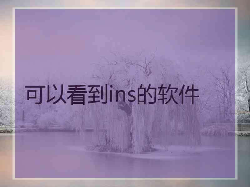 可以看到ins的软件