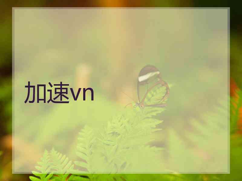 加速vn