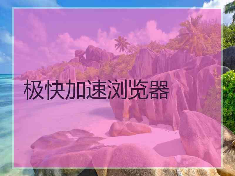 极快加速浏览器