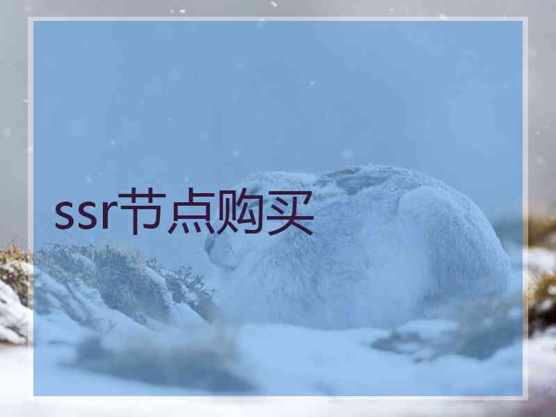 ssr节点购买