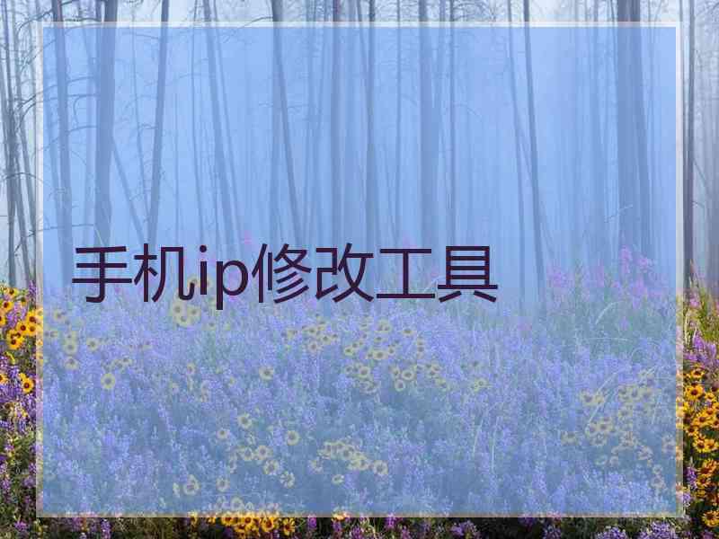 手机ip修改工具