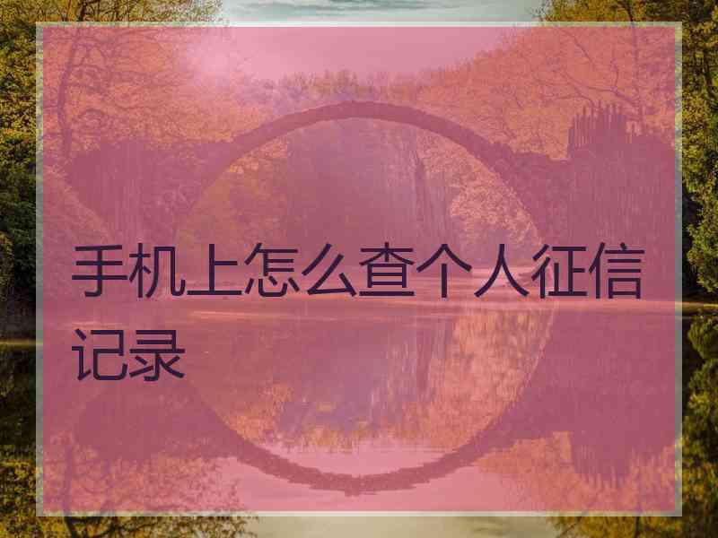 手机上怎么查个人征信记录