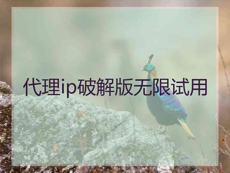 代理ip破解版无限试用