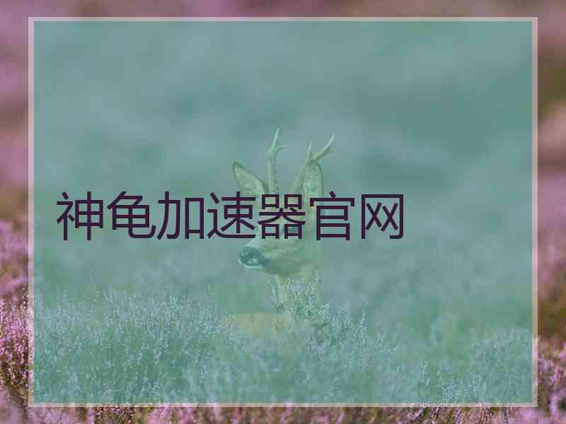神龟加速器官网