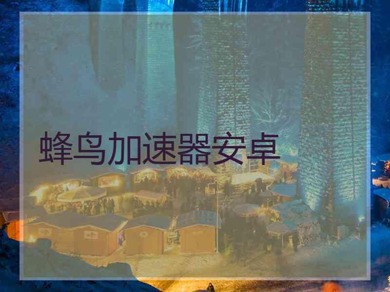 蜂鸟加速器安卓