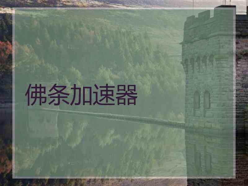 佛条加速器