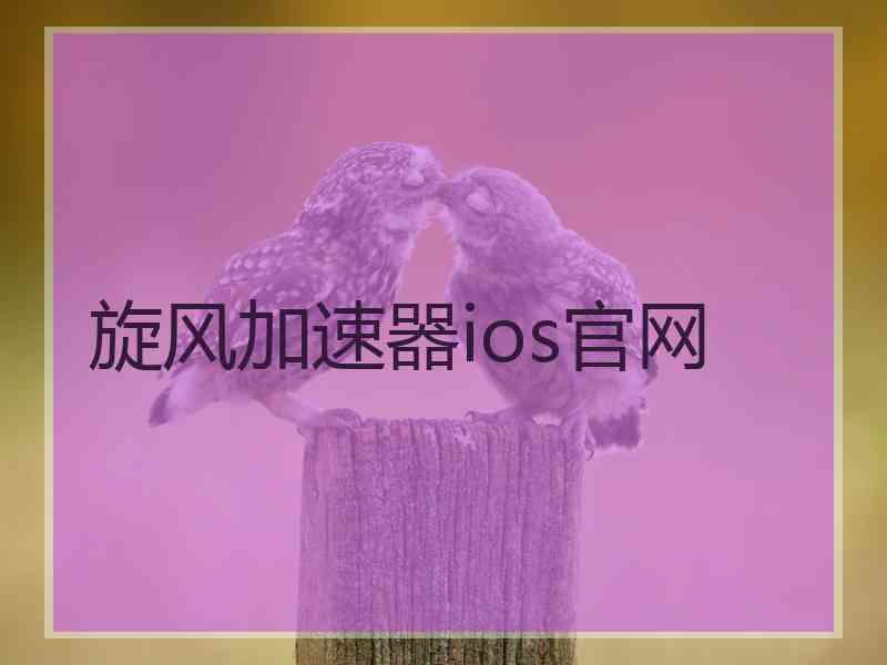 旋风加速器ios官网