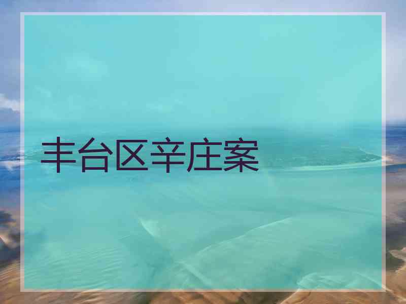 丰台区辛庄案