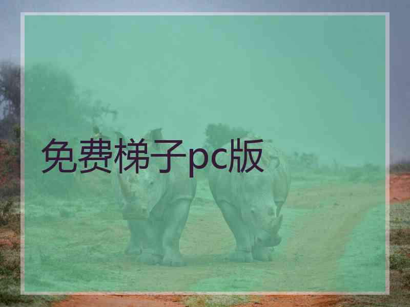 免费梯子pc版