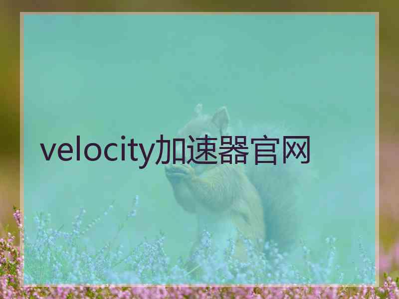 velocity加速器官网