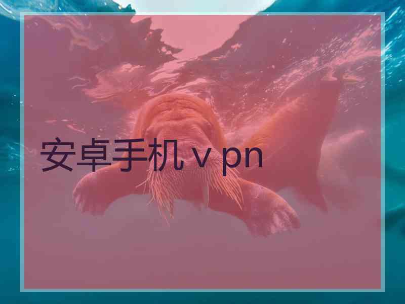 安卓手机ⅴpn