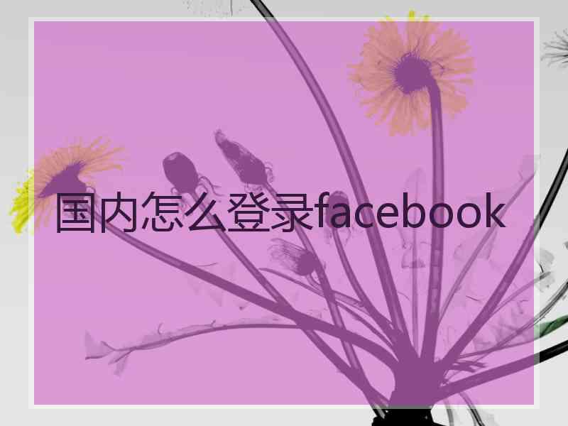 国内怎么登录facebook