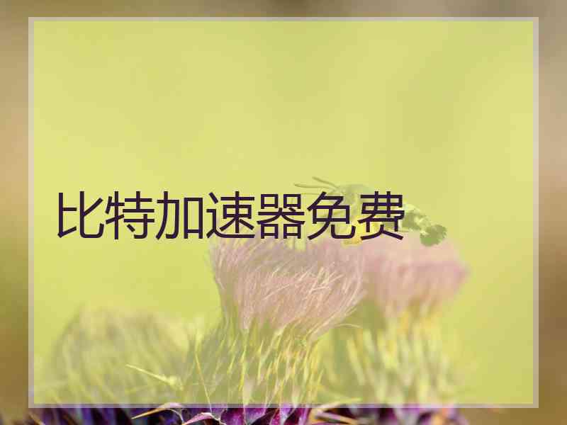 比特加速器免费