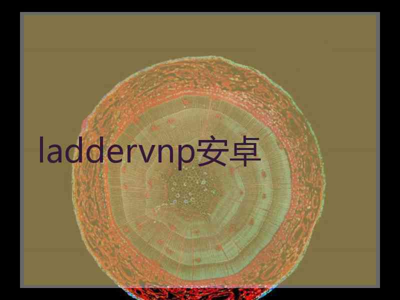 laddervnp安卓