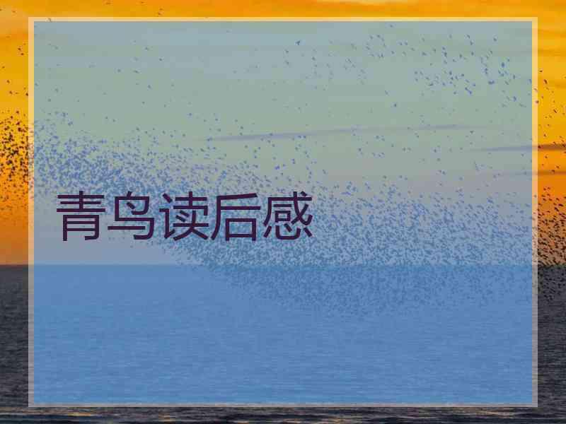 青鸟读后感
