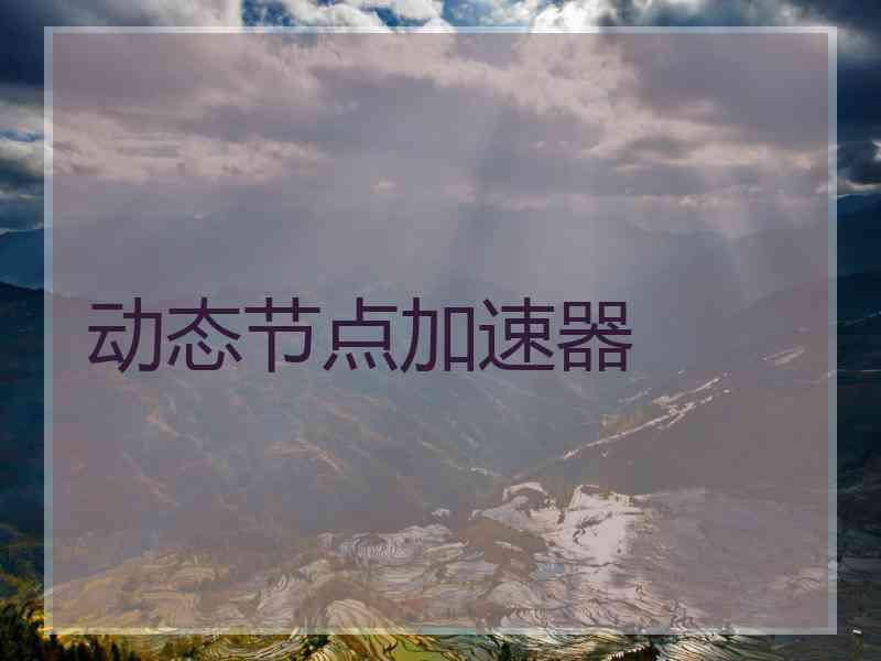 动态节点加速器