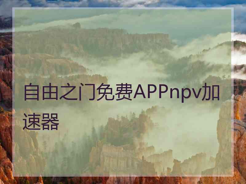自由之门免费APPnpv加速器