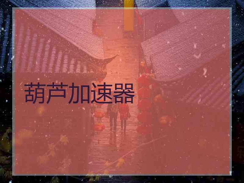 葫芦加速器