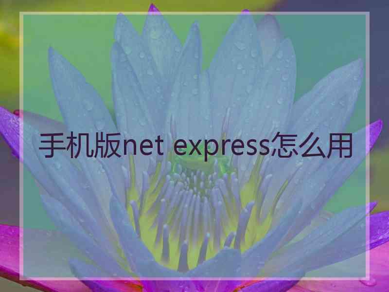手机版net express怎么用