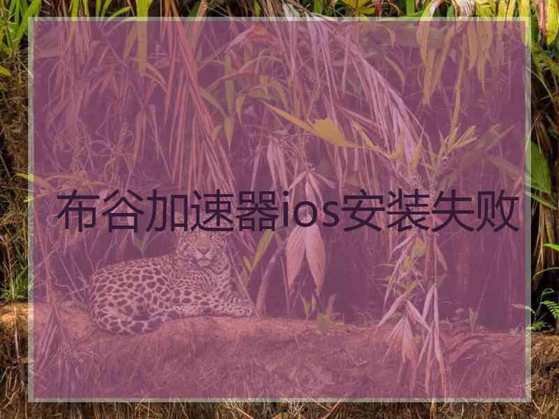 布谷加速器ios安装失败