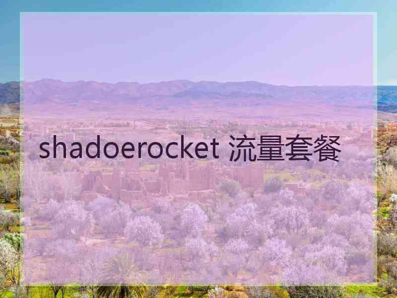 shadoerocket 流量套餐