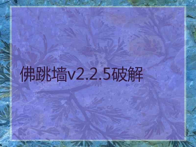佛跳墙v2.2.5破解