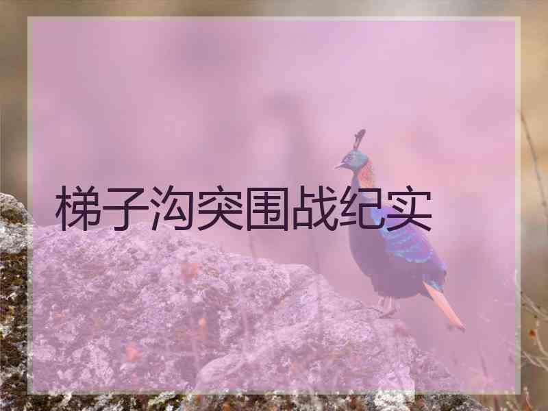 梯子沟突围战纪实