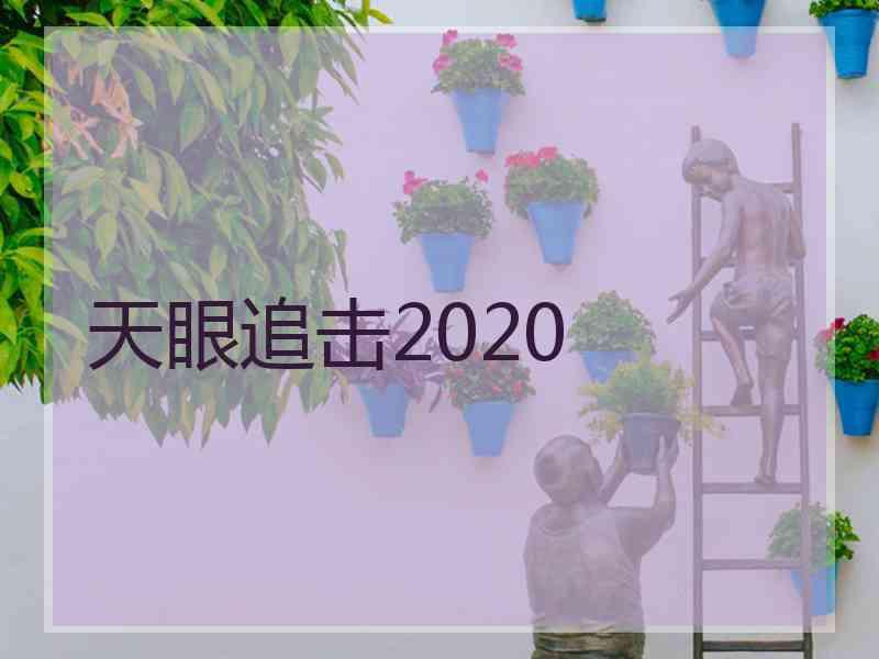 天眼追击2020