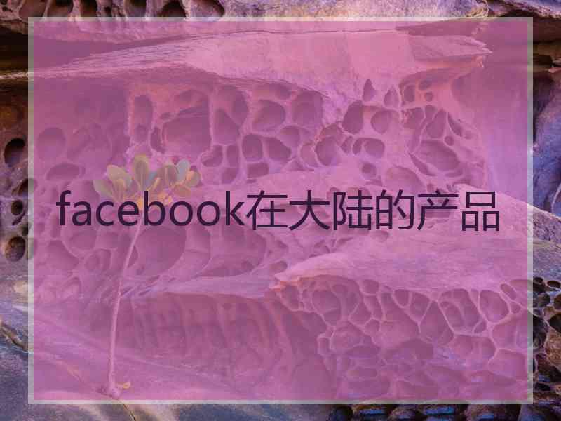 facebook在大陆的产品