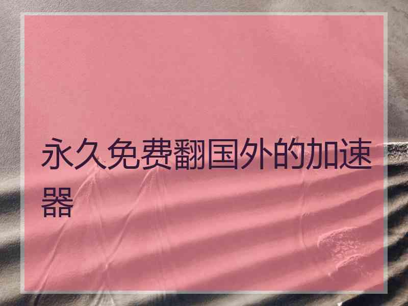 永久免费翻国外的加速器