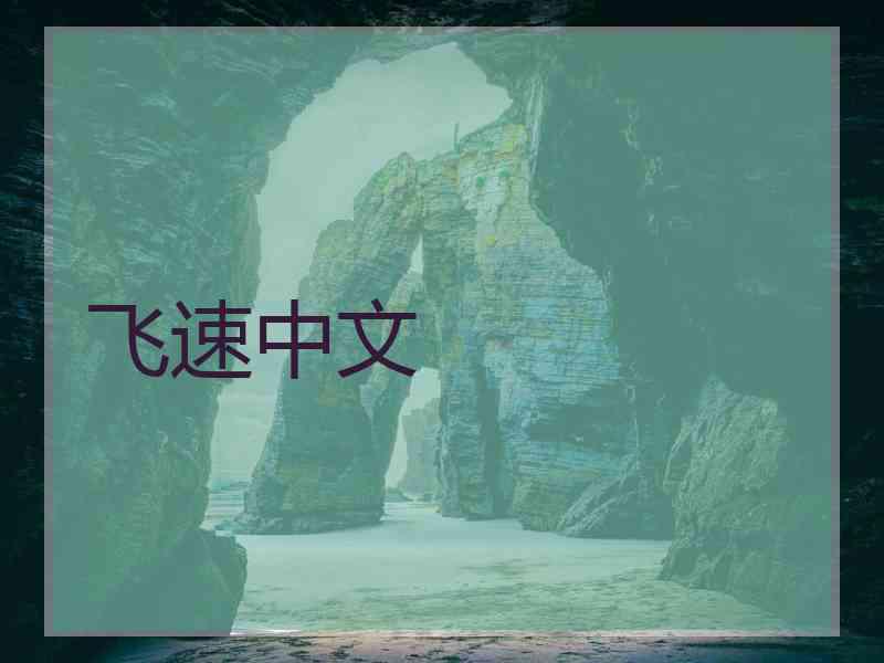 飞速中文