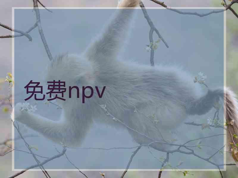 免费npv