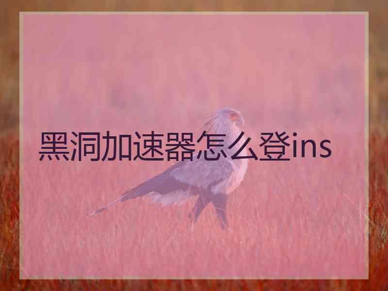 黑洞加速器怎么登ins